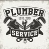 Plumber service